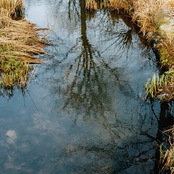 Scharmbecker Bach Lebensraum
