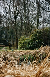 Stadtpark&nbsp;&copy;&nbsp;Stadt Osterholz-Scharmbeck